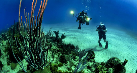 diving in Maldives waters like never before